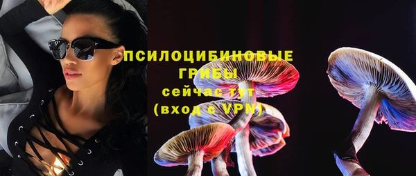 Альфа ПВП Лиски