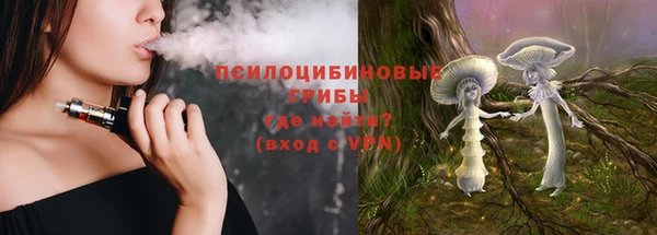 PSILOCYBIN Лихославль