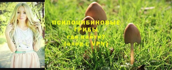 Альфа ПВП Липки
