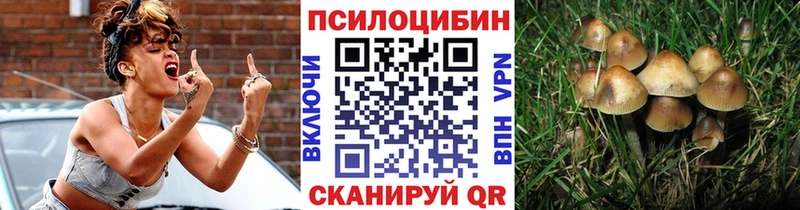 Псилоцибиновые грибы GOLDEN TEACHER  Шахунья 